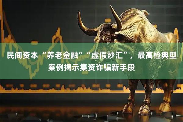 民间资本 “养老金融”“虚假炒汇”，最高检典型案例揭示集资诈骗新手段