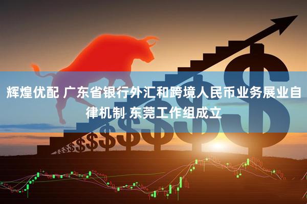 辉煌优配 广东省银行外汇和跨境人民币业务展业自律机制 东莞工作组成立