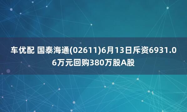 车优配 国泰海通(02611)6月13日斥资6931.06万元回购380万股A股