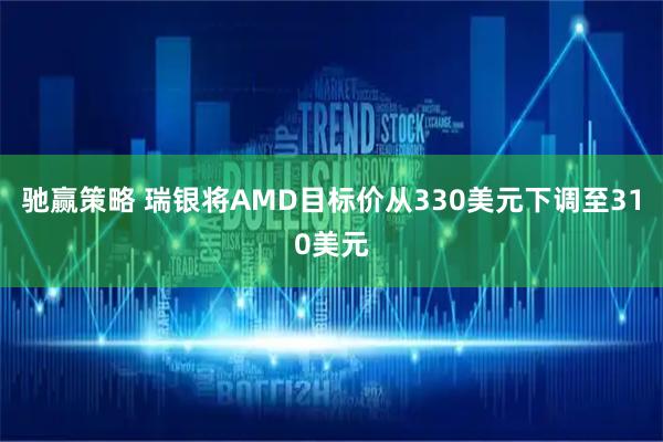 驰赢策略 瑞银将AMD目标价从330美元下调至310美元